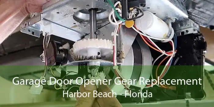 Garage Door Opener Gear Replacement Harbor Beach - Florida