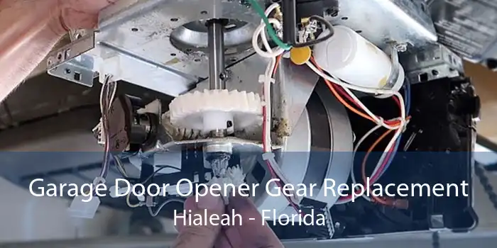 Garage Door Opener Gear Replacement Hialeah - Florida