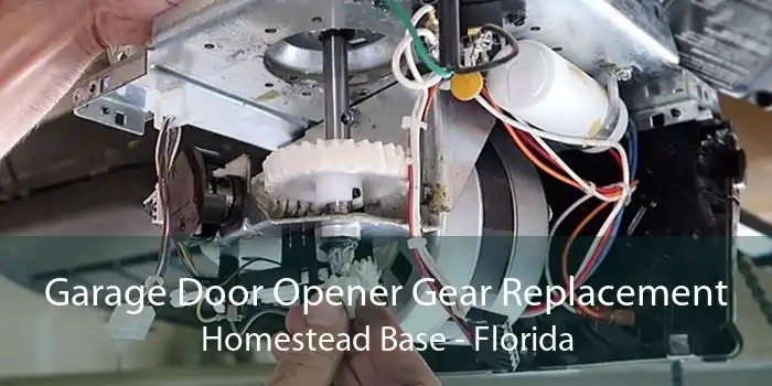 Garage Door Opener Gear Replacement Homestead Base - Florida