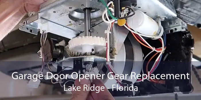 Garage Door Opener Gear Replacement Lake Ridge - Florida