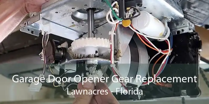 Garage Door Opener Gear Replacement Lawnacres - Florida