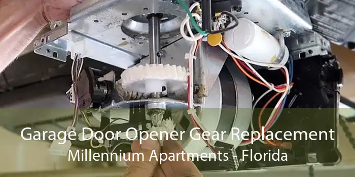 Garage Door Opener Gear Replacement Millennium Apartments - Florida