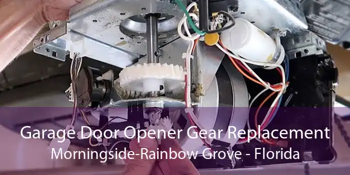 Garage Door Opener Gear Replacement Morningside-Rainbow Grove - Florida