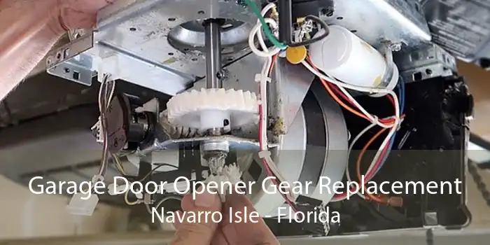 Garage Door Opener Gear Replacement Navarro Isle - Florida