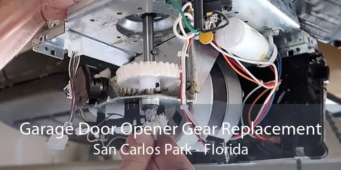 Garage Door Opener Gear Replacement San Carlos Park - Florida