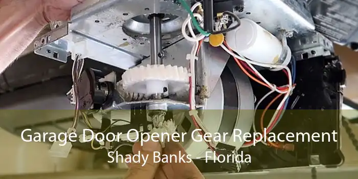 Garage Door Opener Gear Replacement Shady Banks - Florida