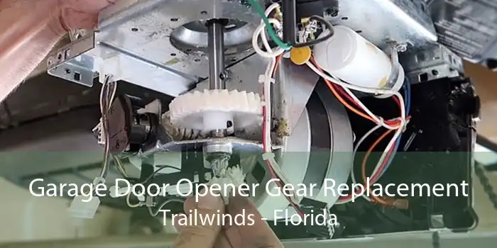 Garage Door Opener Gear Replacement Trailwinds - Florida