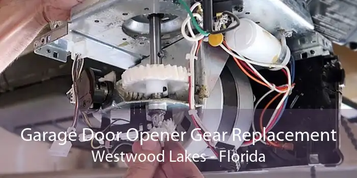 Garage Door Opener Gear Replacement Westwood Lakes - Florida