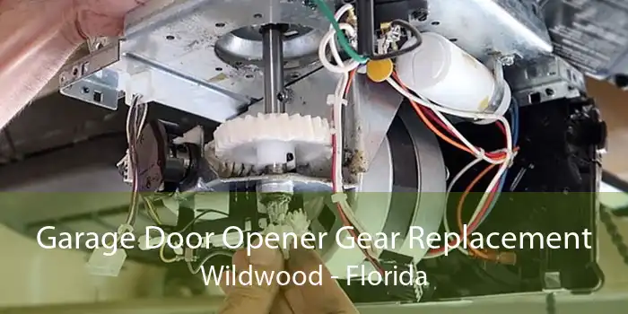 Garage Door Opener Gear Replacement Wildwood - Florida