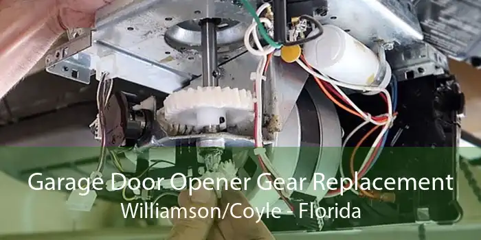 Garage Door Opener Gear Replacement Williamson/Coyle - Florida