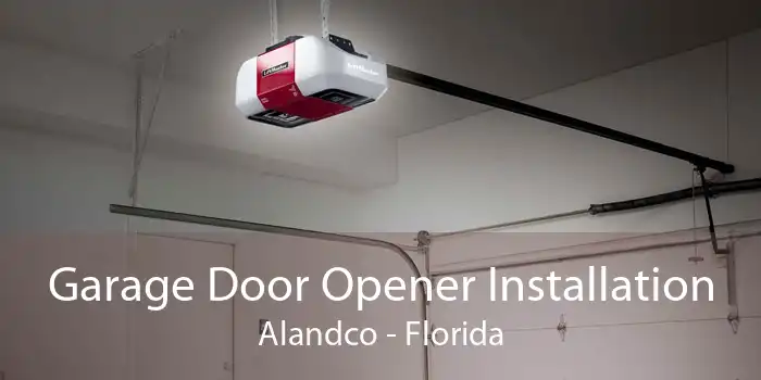 Garage Door Opener Installation Alandco - Florida