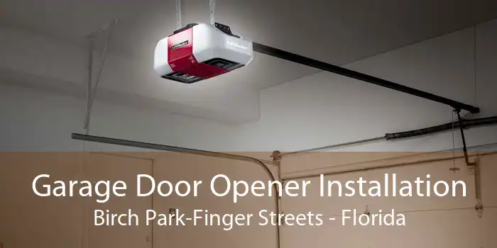 Garage Door Opener Installation Birch Park-Finger Streets - Florida