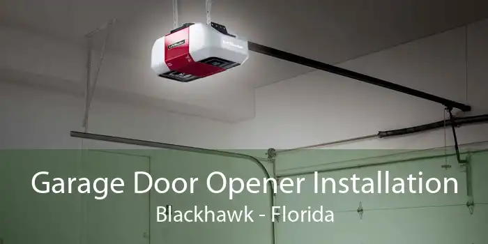 Garage Door Opener Installation Blackhawk - Florida