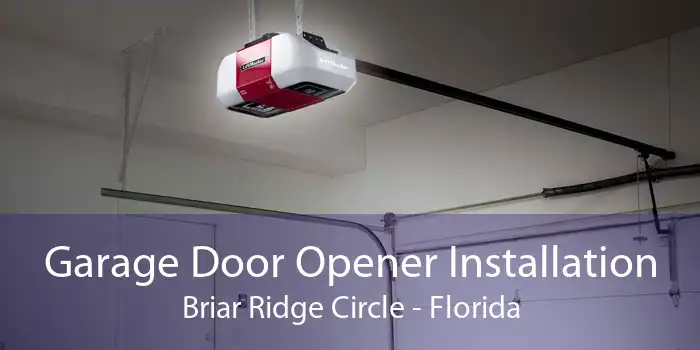 Garage Door Opener Installation Briar Ridge Circle - Florida