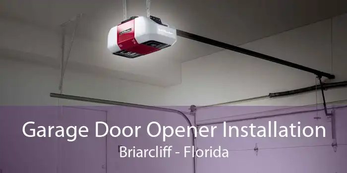 Garage Door Opener Installation Briarcliff - Florida