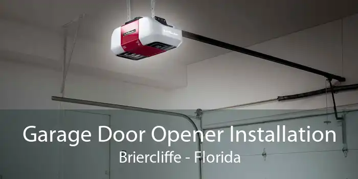 Garage Door Opener Installation Briercliffe - Florida