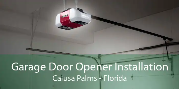 Garage Door Opener Installation Calusa Palms - Florida