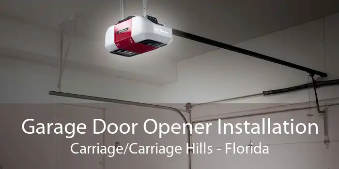 Garage Door Opener Installation Carriage/Carriage Hills - Florida