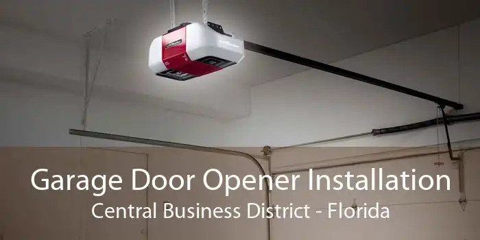 Garage Door Opener Installation Central Business District - Florida