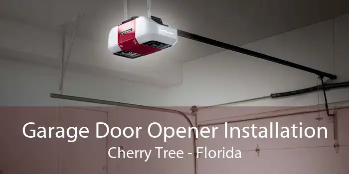 Garage Door Opener Installation Cherry Tree - Florida