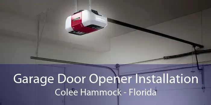 Garage Door Opener Installation Colee Hammock - Florida