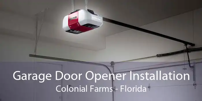 Garage Door Opener Installation Colonial Farms - Florida