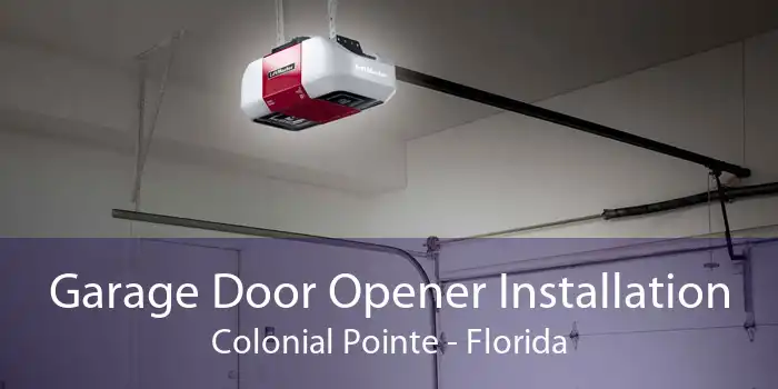 Garage Door Opener Installation Colonial Pointe - Florida