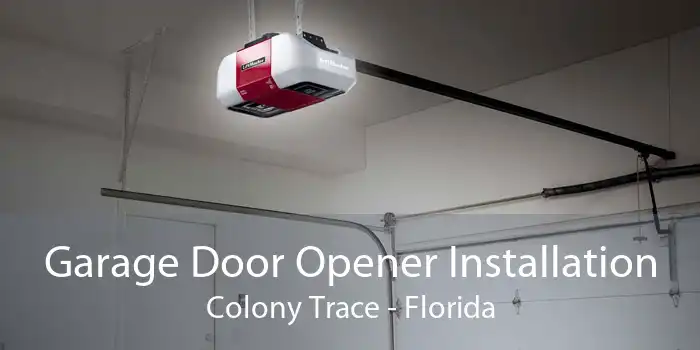 Garage Door Opener Installation Colony Trace - Florida