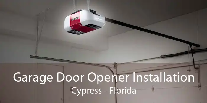 Garage Door Opener Installation Cypress - Florida