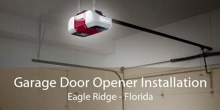 Garage Door Opener Installation Eagle Ridge - Florida