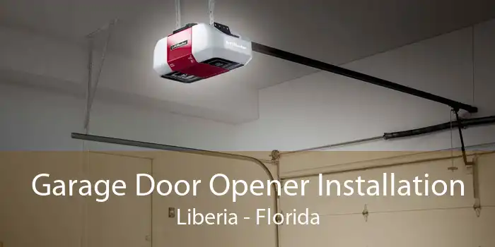 Garage Door Opener Installation Liberia - Florida