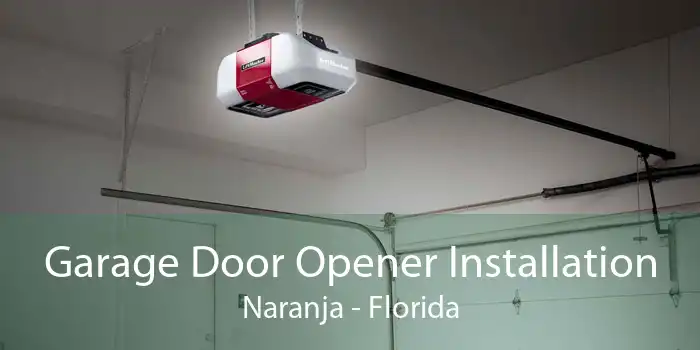 Garage Door Opener Installation Naranja - Florida