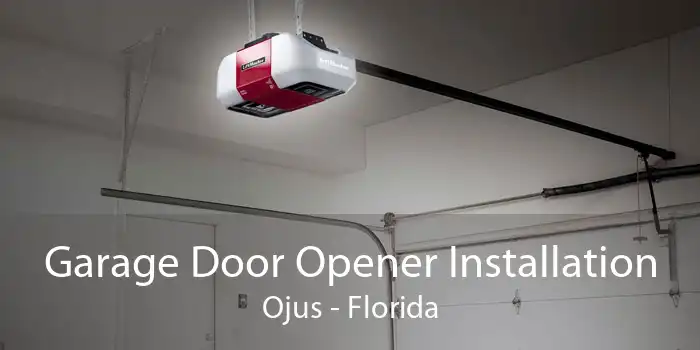 Garage Door Opener Installation Ojus - Florida