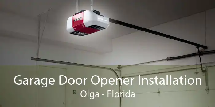 Garage Door Opener Installation Olga - Florida