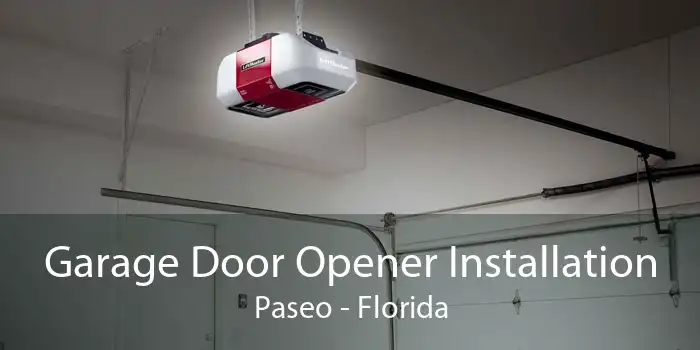 Garage Door Opener Installation Paseo - Florida