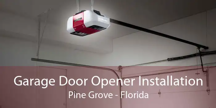 Garage Door Opener Installation Pine Grove - Florida