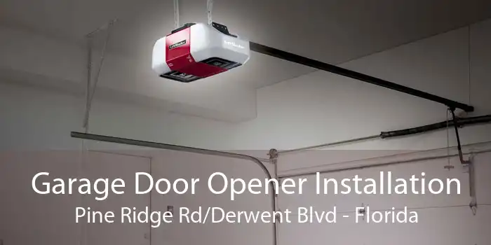 Garage Door Opener Installation Pine Ridge Rd/Derwent Blvd - Florida