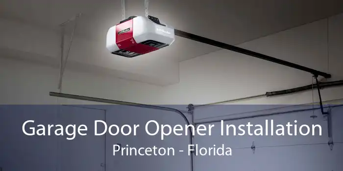 Garage Door Opener Installation Princeton - Florida