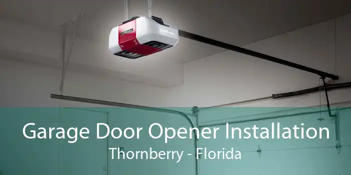 Garage Door Opener Installation Thornberry - Florida