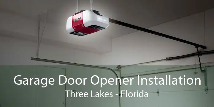 Garage Door Opener Installation Three Lakes - Florida