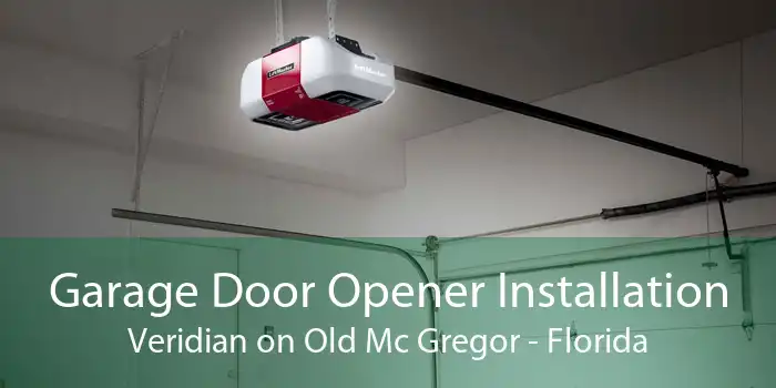 Garage Door Opener Installation Veridian on Old Mc Gregor - Florida