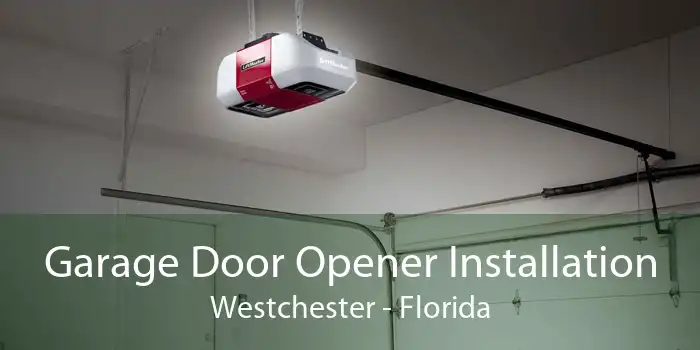 Garage Door Opener Installation Westchester - Florida