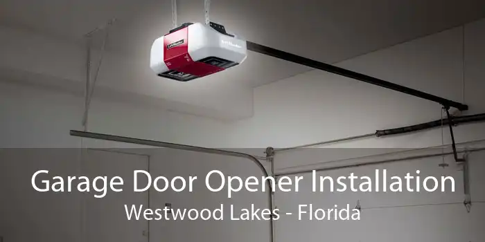 Garage Door Opener Installation Westwood Lakes - Florida