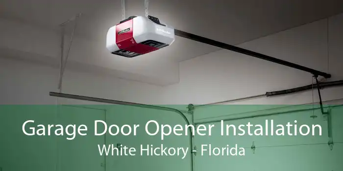 Garage Door Opener Installation White Hickory - Florida