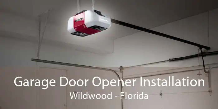 Garage Door Opener Installation Wildwood - Florida