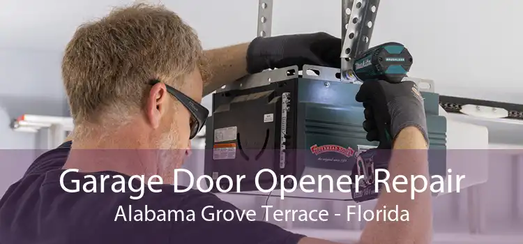 Garage Door Opener Repair Alabama Grove Terrace - Florida