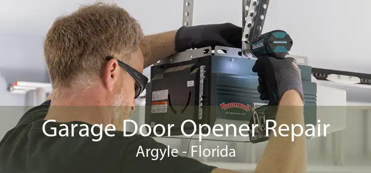 Garage Door Opener Repair Argyle - Florida