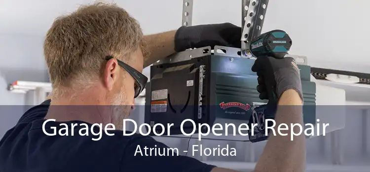 Garage Door Opener Repair Atrium - Florida