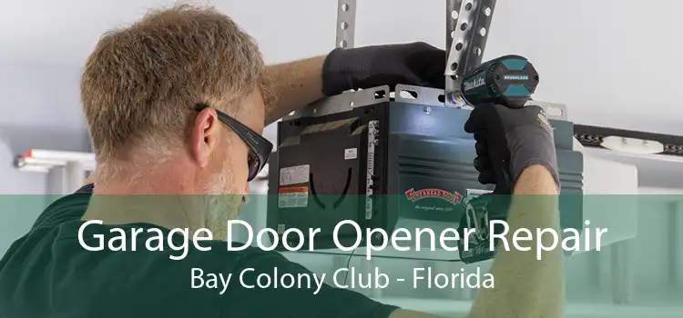 Garage Door Opener Repair Bay Colony Club - Florida