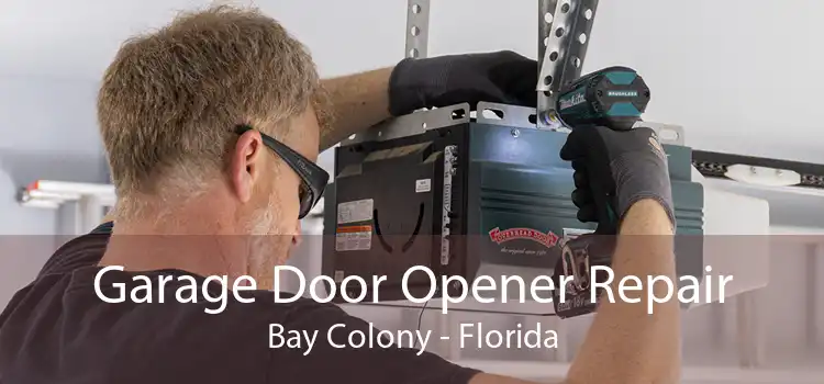 Garage Door Opener Repair Bay Colony - Florida